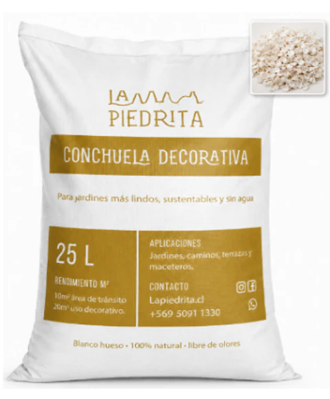 Conchuela decorativa 25 L