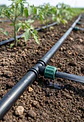 Conector cinta a planza 16 mm 17 unidades - Miniatura 2