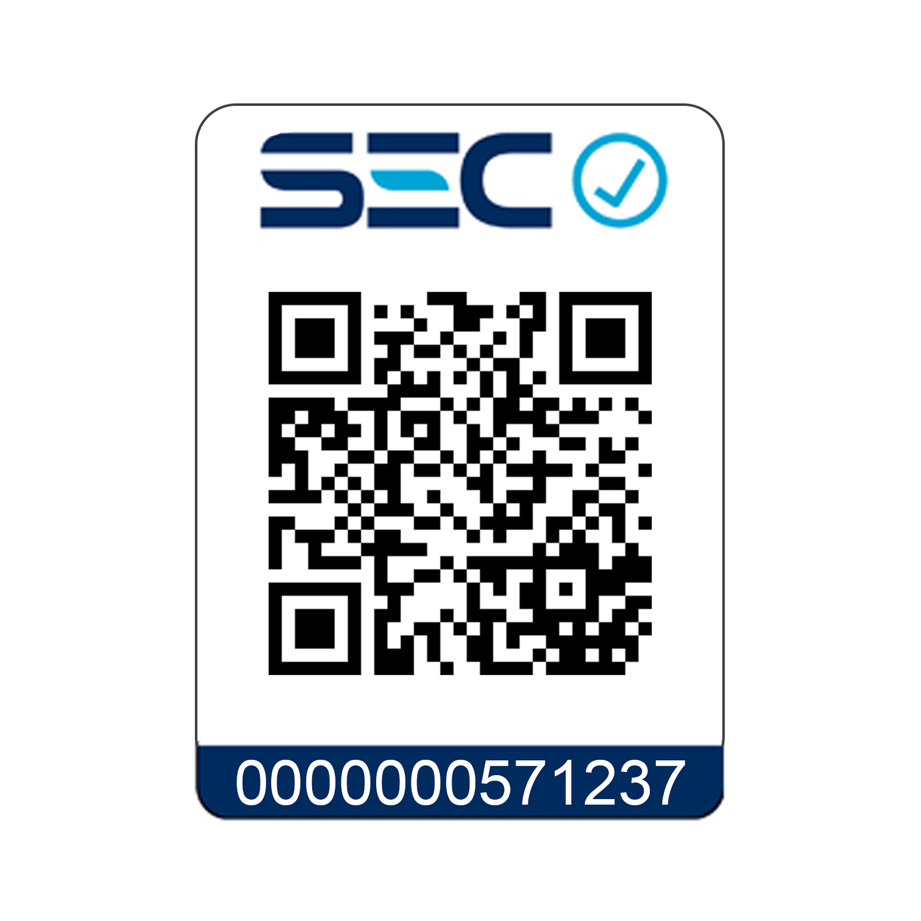 Aspiradora de Polvos y Cenizas 1000W