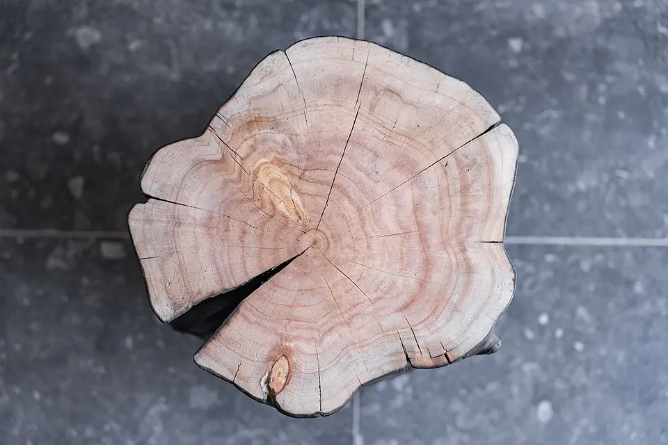 Toranku de Carbón ログ 4