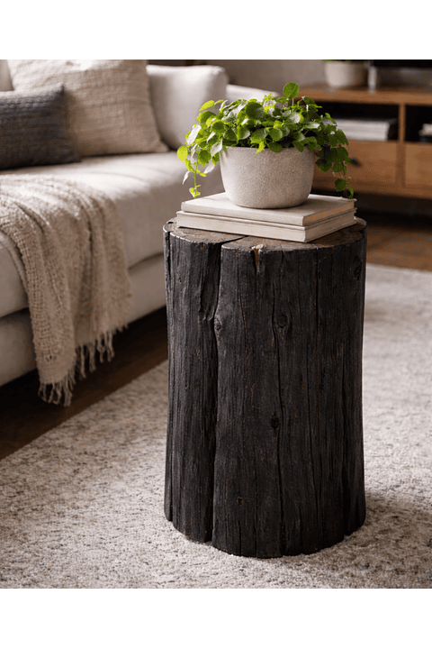 Toranku de Carbón ログ