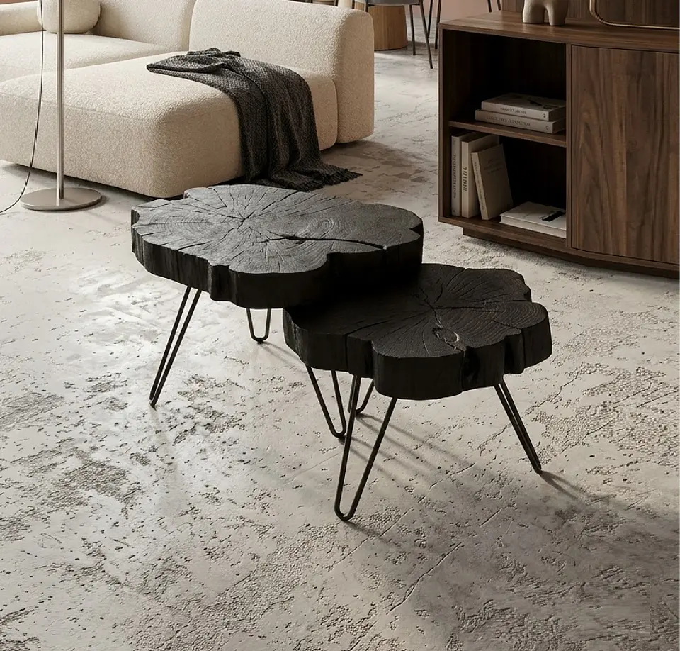 Rodelas Carbon か 2