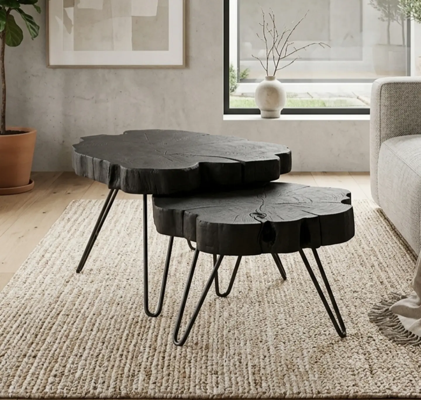 Rodelas Carbon か 1