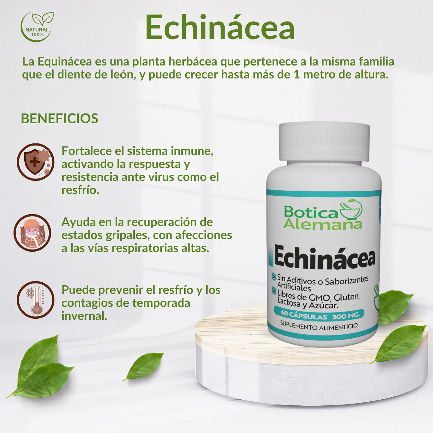 Echinacea, 90 cápsulas 300 mg 4