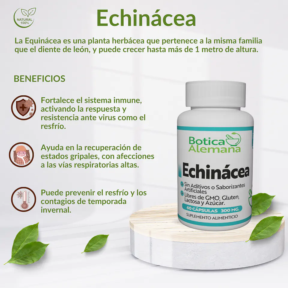 Echinacea, 90 cápsulas 300 mg 4