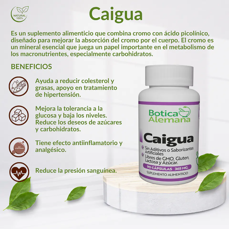 Caigua, 90 cápsulas 365 mg 4