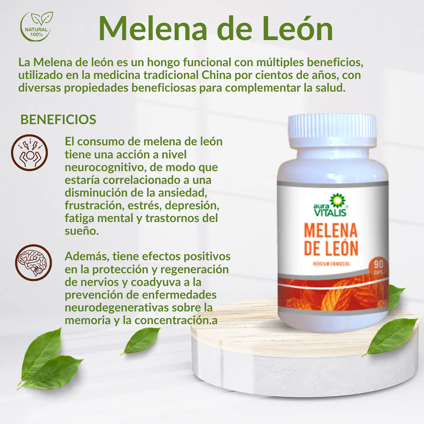 Melena de León, 90 cápsulas 230 mg. 4