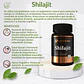 Shilajit 60 cápsulas 500 mg. Extremo Sur - Miniatura 3