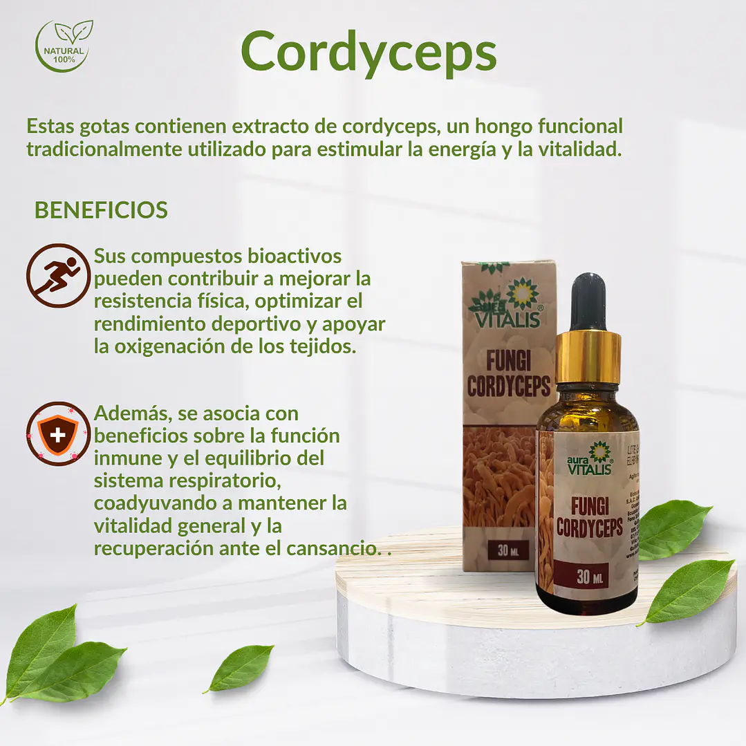 Cordyceps  Fungi, 30 ml 3