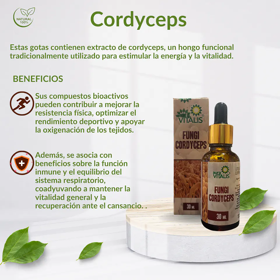 Cordyceps  Fungi, 30 ml 3
