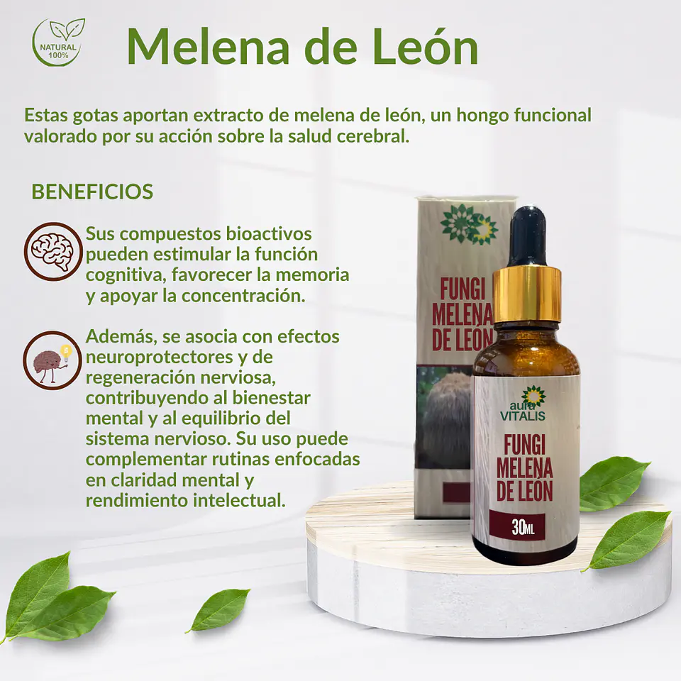 Melena de León, Funghi 30 ml 3