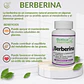 Berberina, 60 cápsulas 250 mg - Miniatura 3