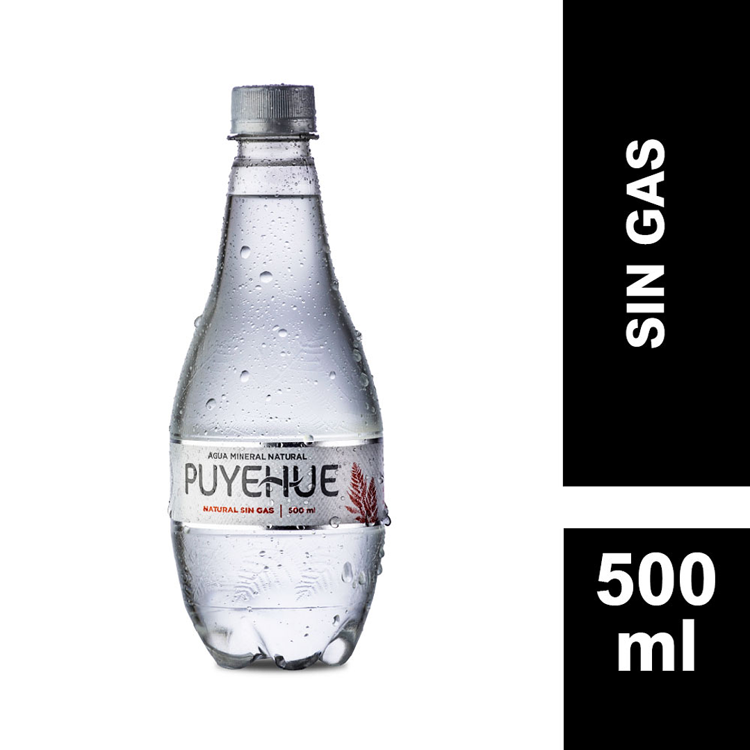 Agua Mineral Puyehue Sin Gas 500cc 1