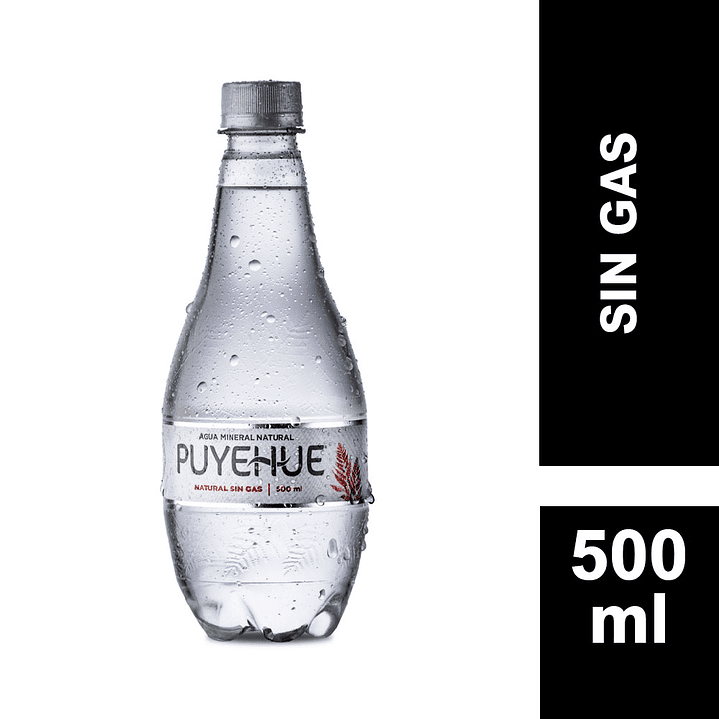 Agua Mineral Puyehue Sin Gas 500cc 1
