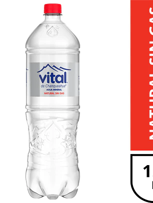 Vital Sin Gas 1.6Lt