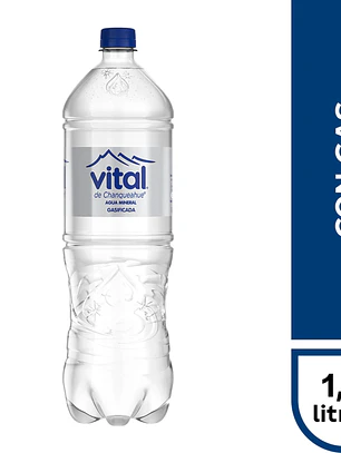 Vital Con Gas 1.6Lt