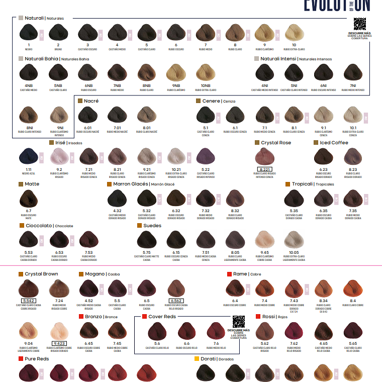 Tintura Evolution Alfaparf 60 ml 2