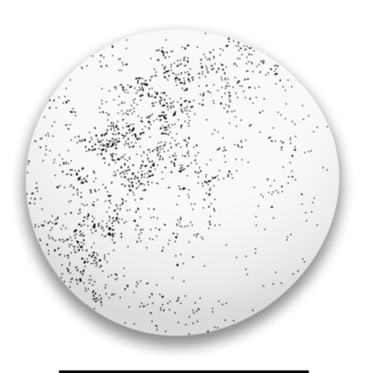 Esmalte UV/LED colores 8ml 29