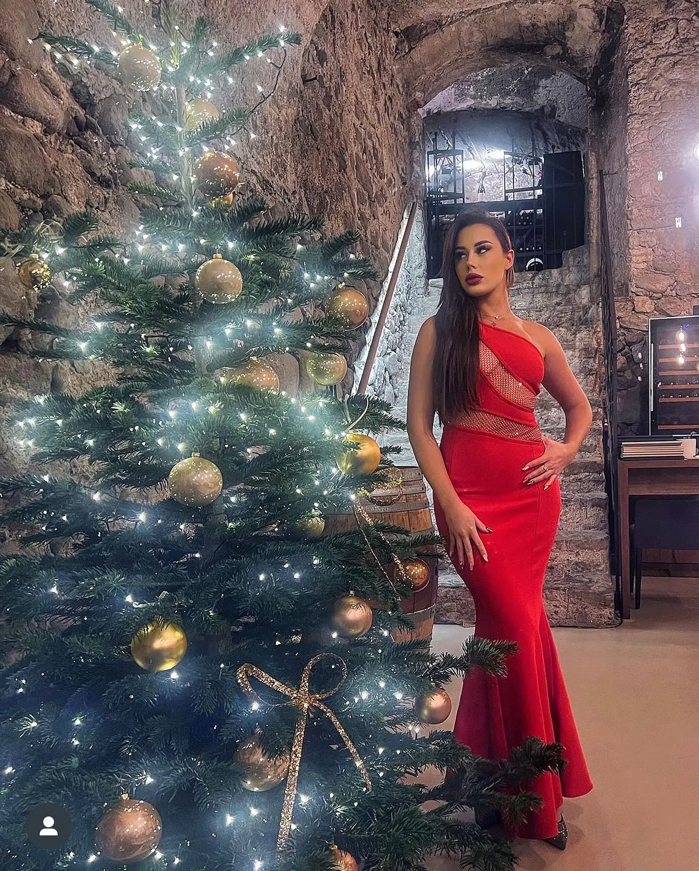 Giorgina Maxi Dress 1