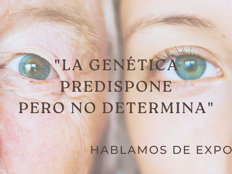 Exposoma ¿Qué es y como influye en el estado de nuestra piel?