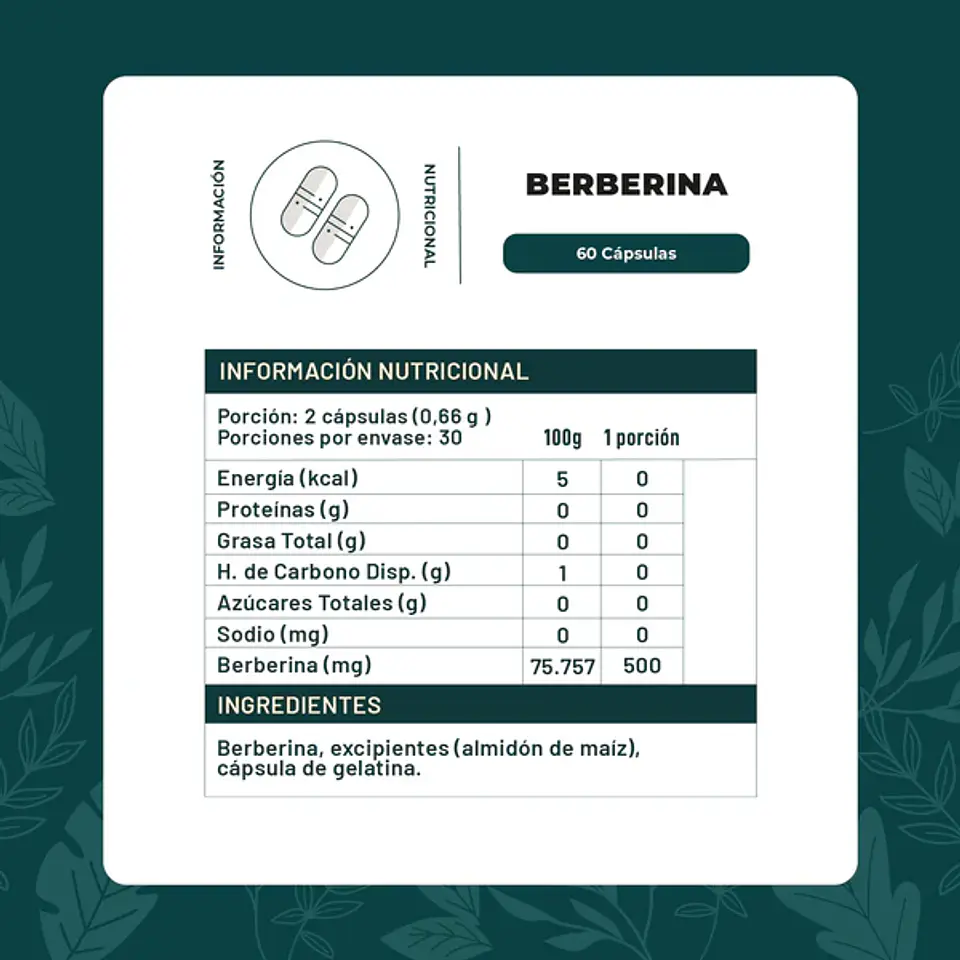 Berberina 500Mg 60 Capsulas ¿Sientes que tu metabolismo necesita un apoyo extra en tu día a día? 2