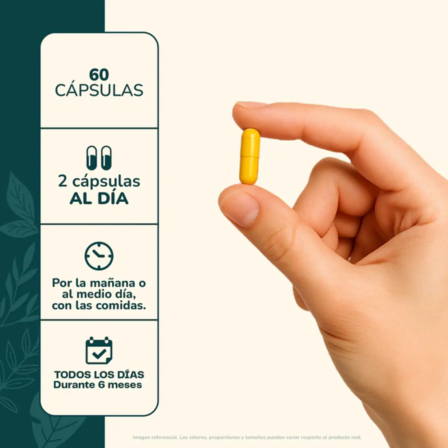 Berberina 500Mg 60 Capsulas ¿Sientes que tu metabolismo necesita un apoyo extra en tu día a día? 3