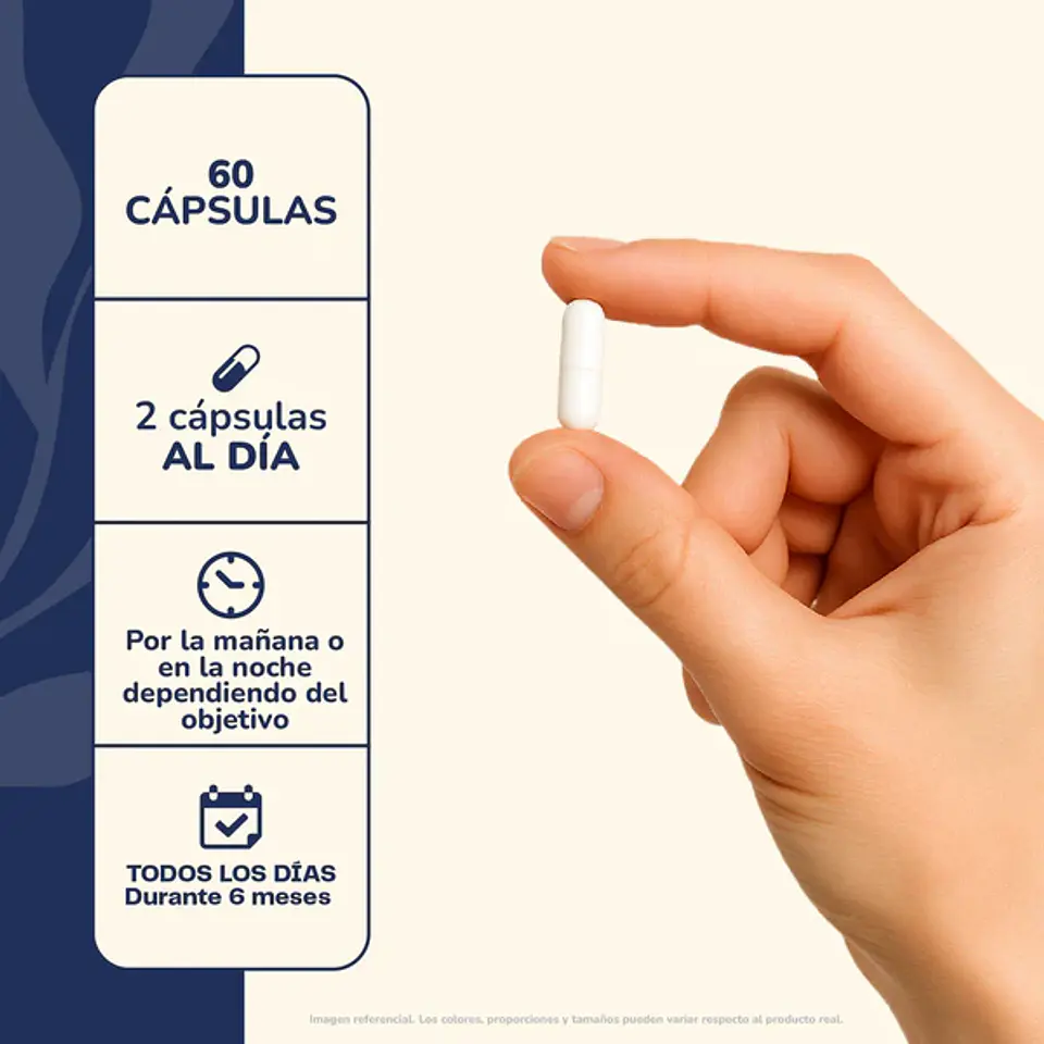 L-TEANINA 200MG 60 CÁPSULAS ¿Te cuesta aquietar la mente al final del día y relajarte sin perder claridad mental para poder rendir al día siguiente? 4