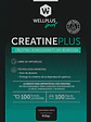 Creatine Plus Wellplus Sport – Creatina Monohidrato Micronizada con Tecnología Hydrogel 410 g - Miniatura 3