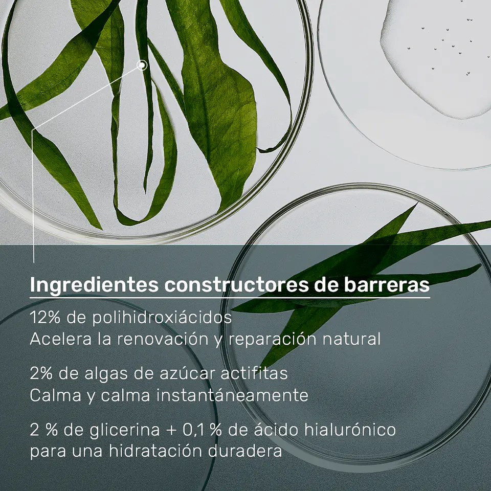 Neostrata PHA Barrier Recovery Cream | Crema Reparadora para Piel Sensible y Barrera Cutánea Dañada 3
