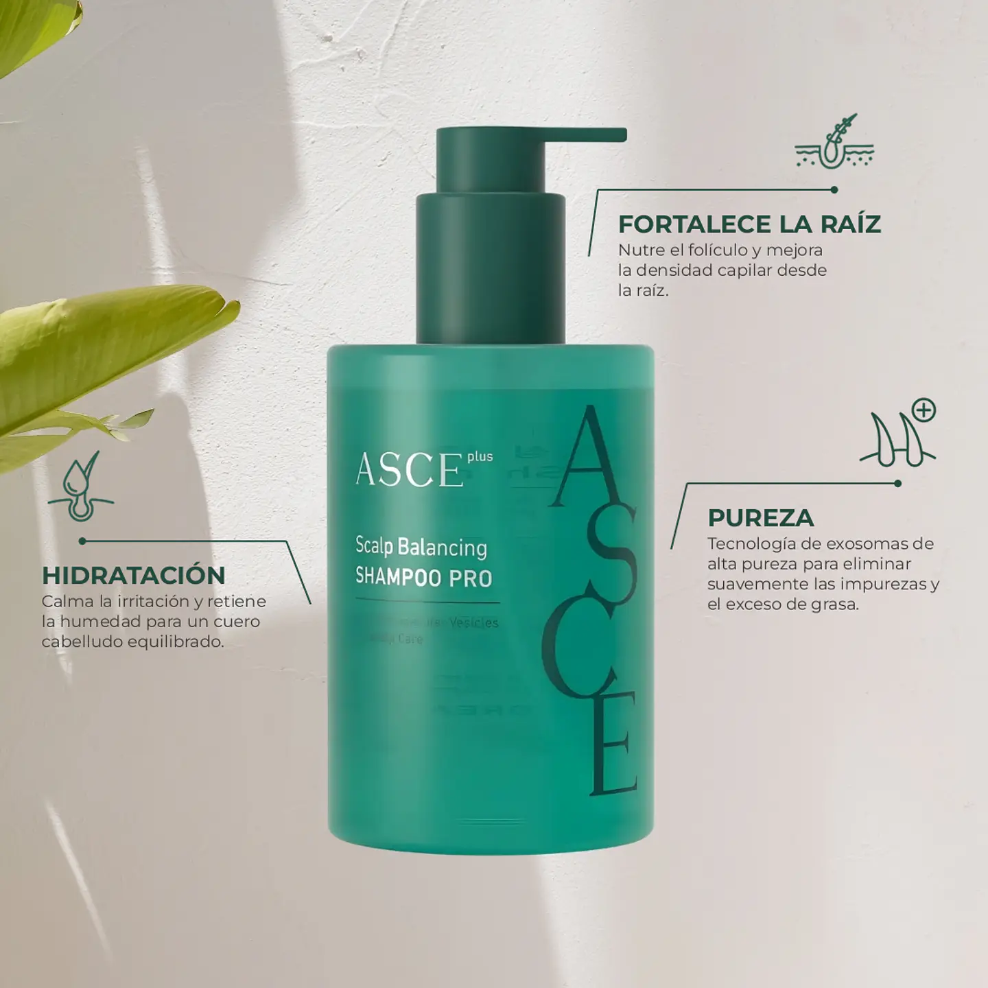 ExoCoBio ASCE+ Scalp Balancing Shampoo 300 ml 2
