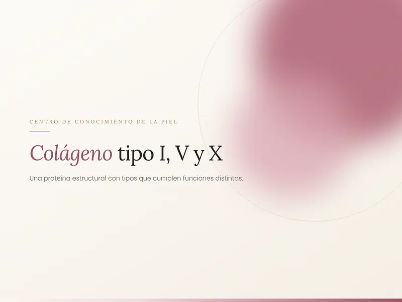 Colágeno Tipo I, V y X 