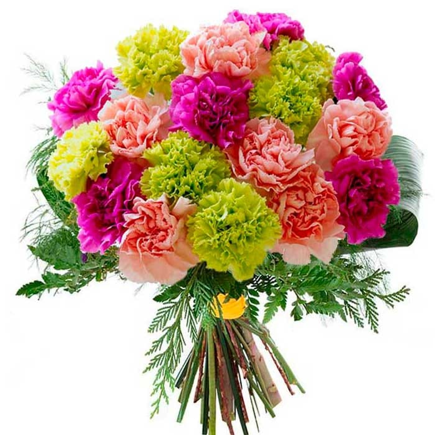 Bouquet De Claveles Surtido X24 1