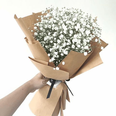 Paquete De Gypsophila