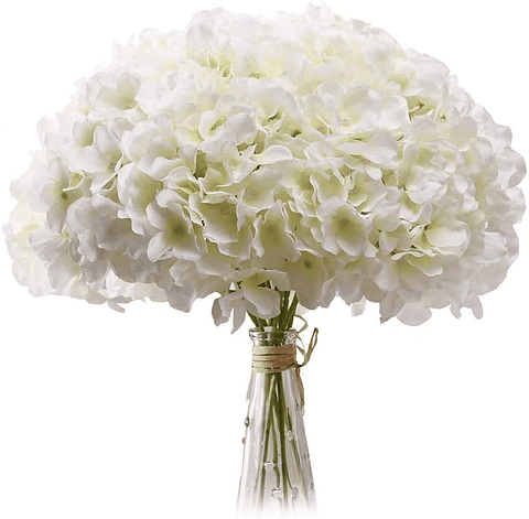Hortensia X6 Blancas