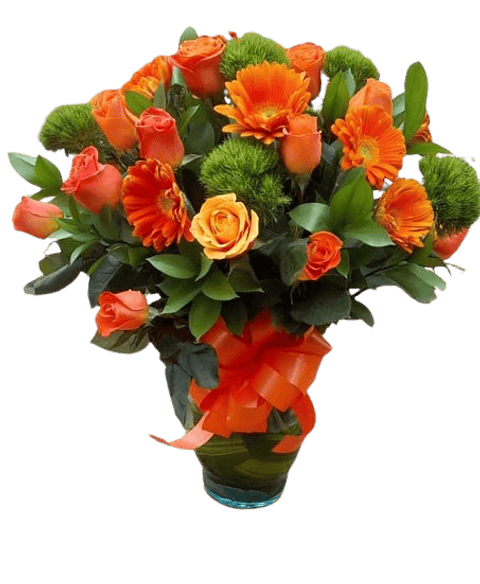 Jarron De 15 Rosas Naranjas Con Gervera