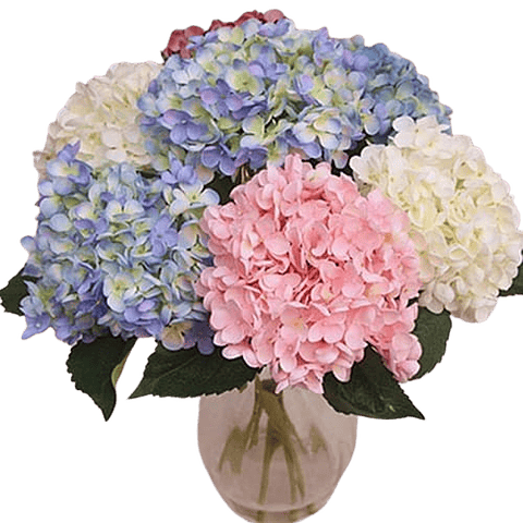 Jarron De Hortensia X8