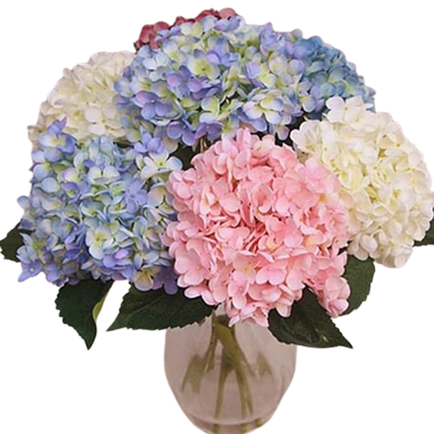 Jarron De Hortensia X8 1