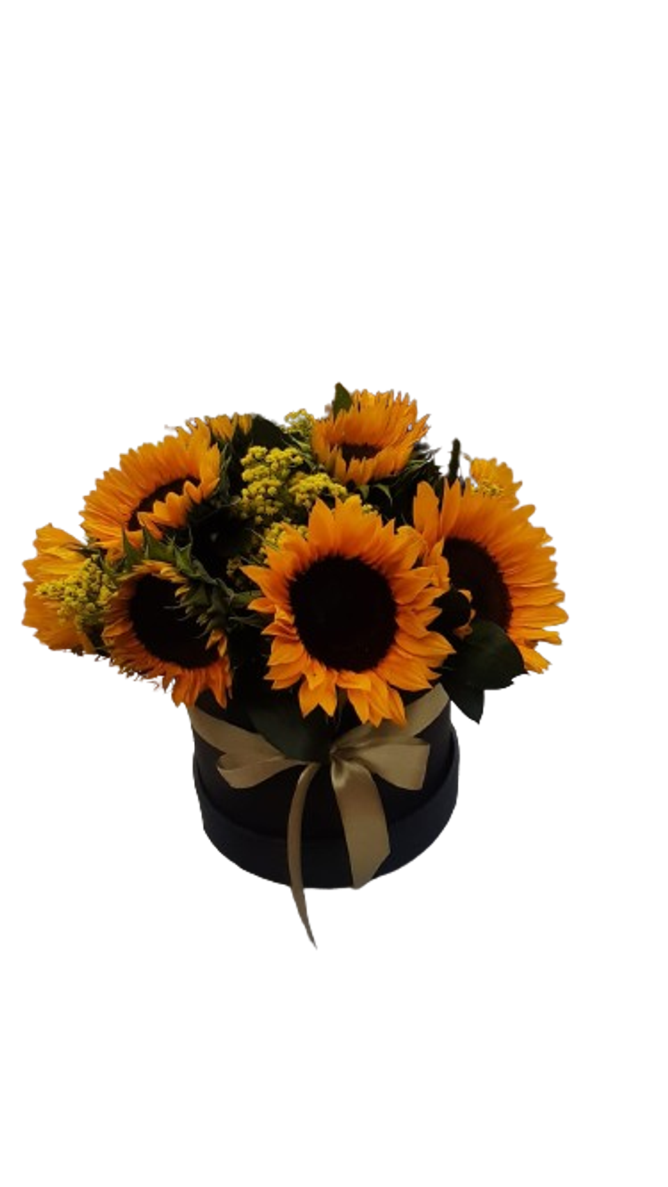 Caja De 8 Girasoles 1