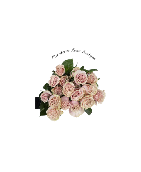 Paquete de 24 Rosas Rosadas