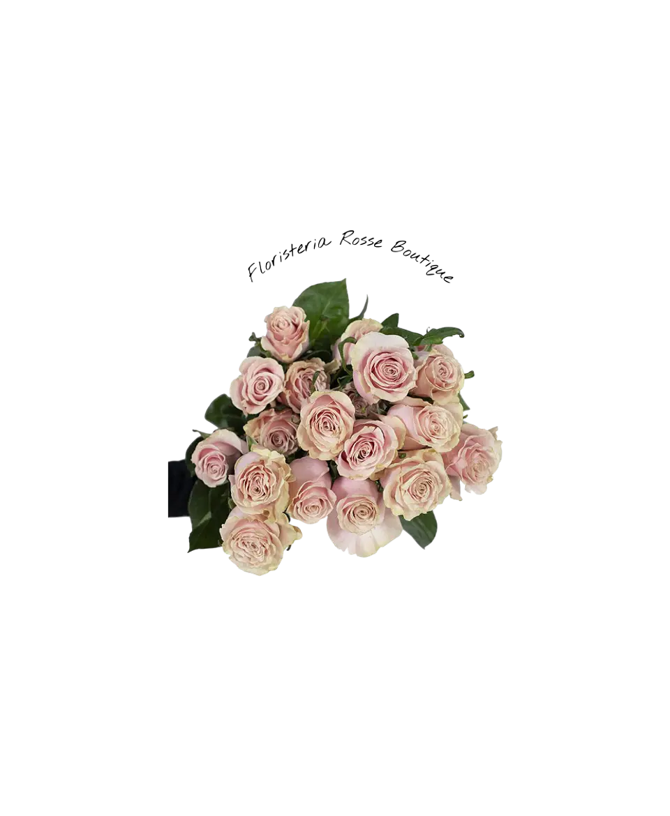 Paquete de 24 Rosas Rosadas 1