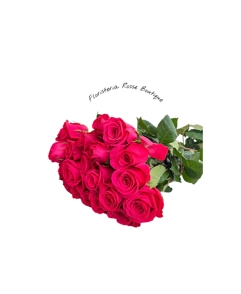 Paquete de 24 Rosas Fucsias
