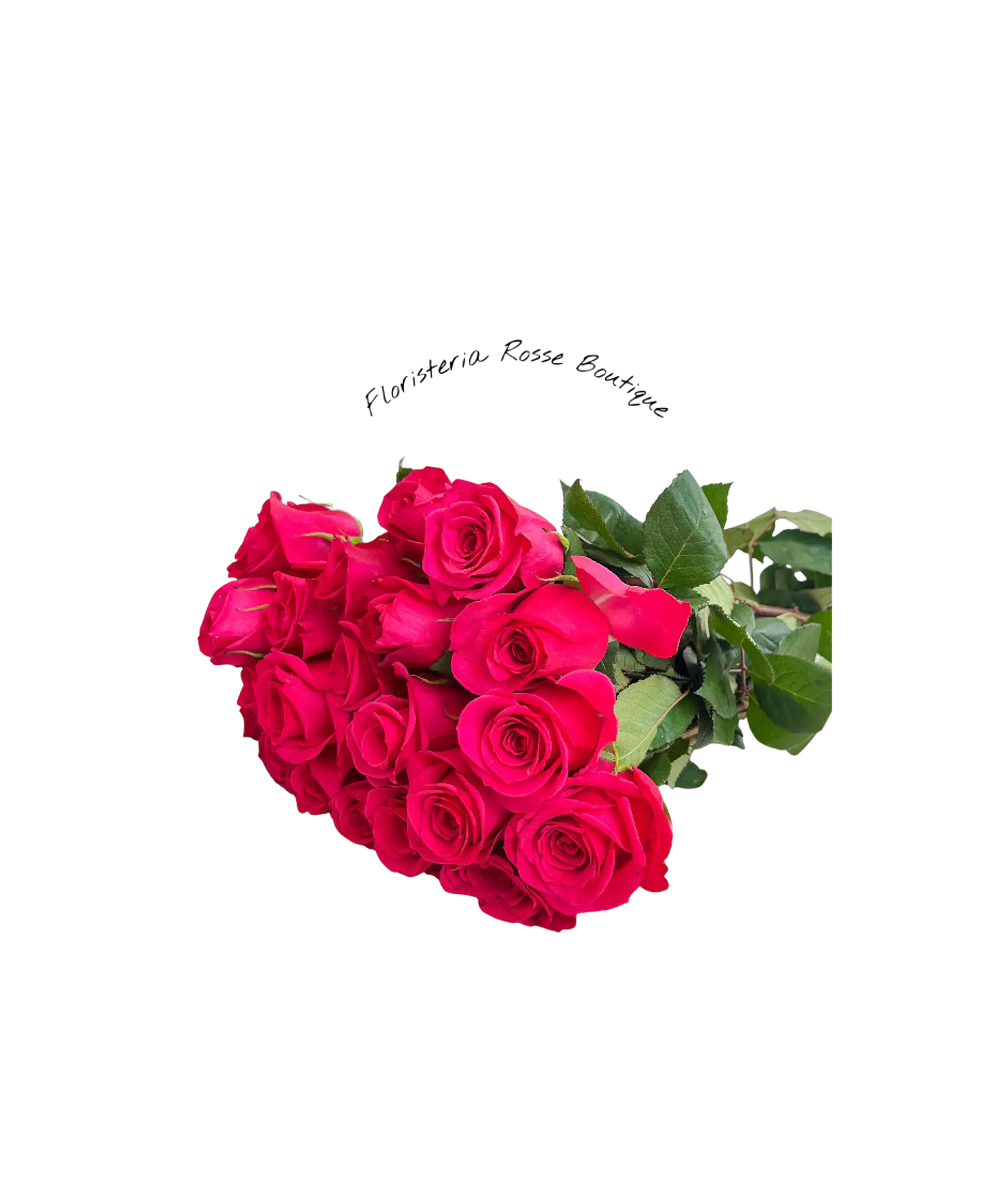 Paquete de 24 Rosas Fucsias 1