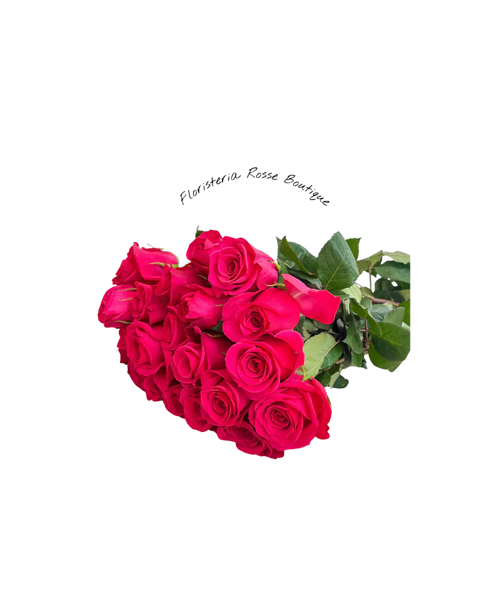 Paquete de 24 Rosas Fucsias 1