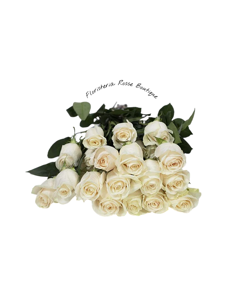 Paquete de 24 Rosas Blancas