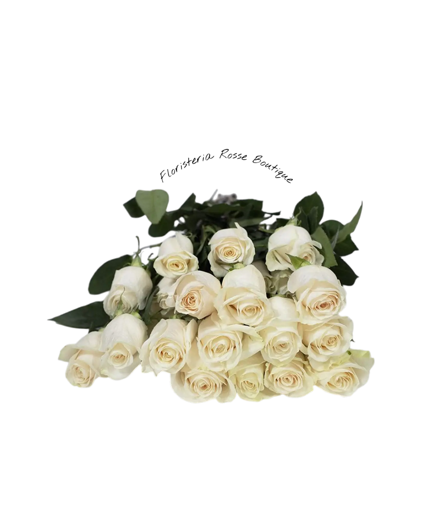 Paquete de 24 Rosas Blancas 1