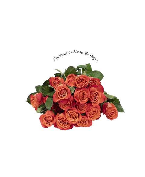 Paquete de 24 Rosas Naranjas