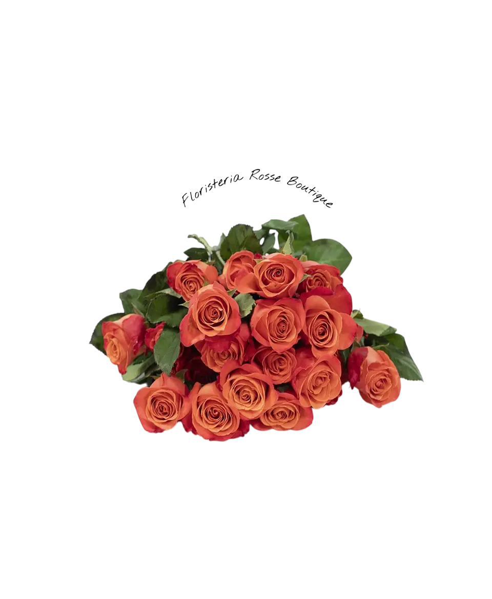 Paquete de 24 Rosas Naranjas 1