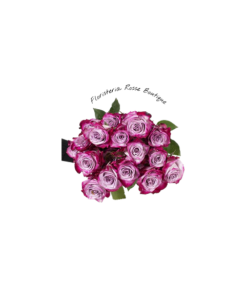 Paquete de 24 Rosas Moradas