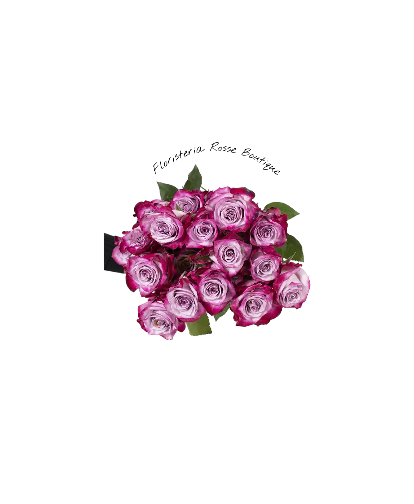 Paquete de 24 Rosas Moradas 1