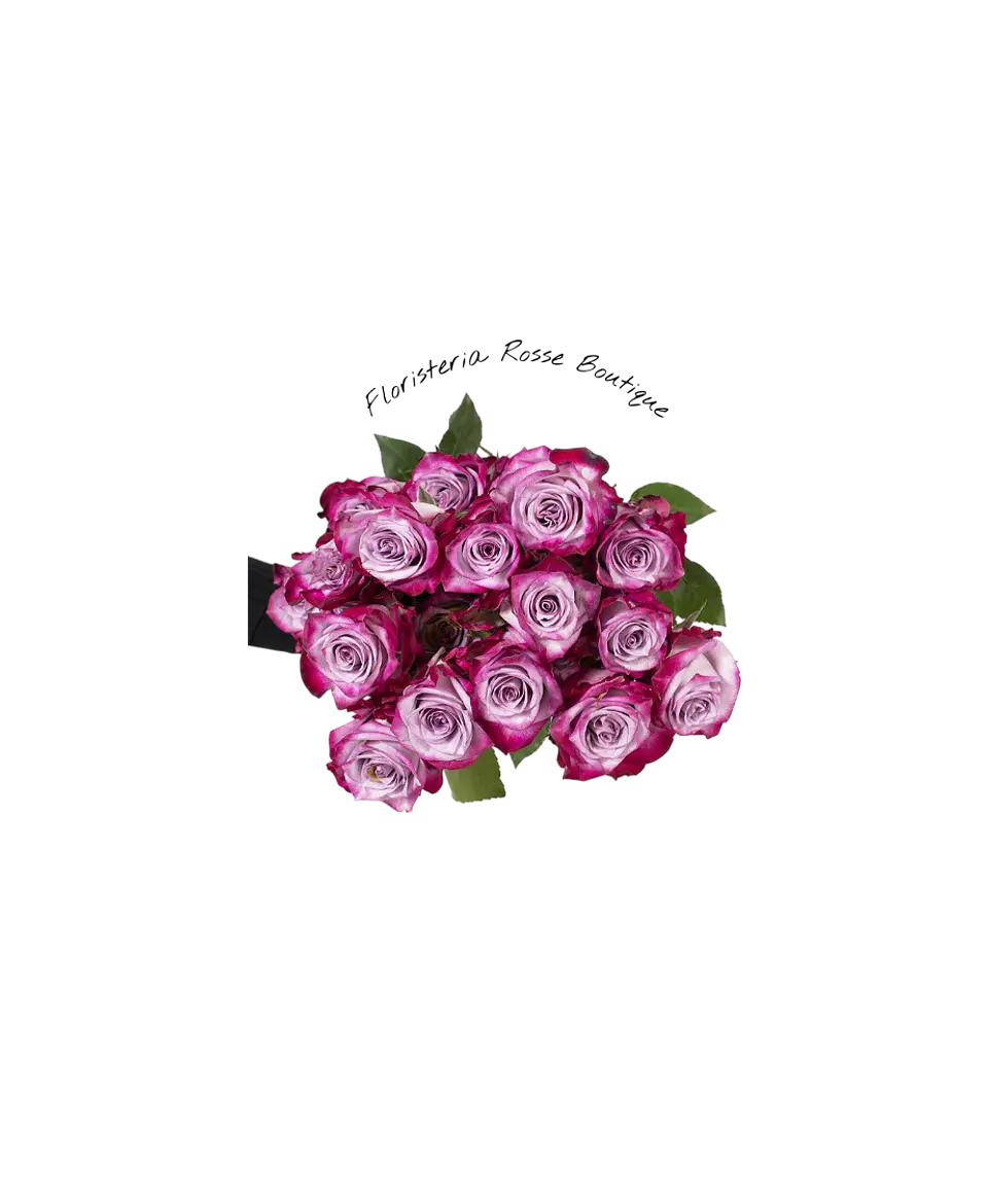 Paquete de 24 Rosas Moradas 1